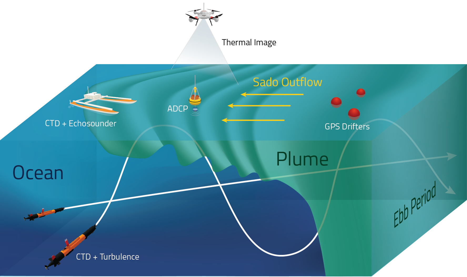 Figure 1 -Schematic representation of SNoW operations