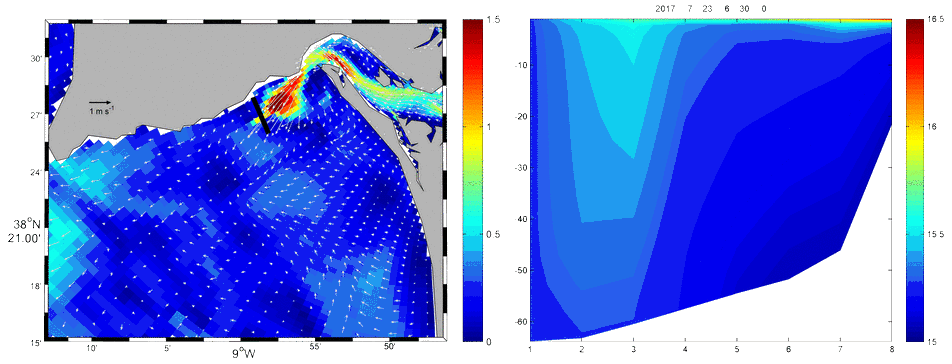 Figure 1 - Surface velocity (m/s) at Sado coastal region (left) and water temperature at the proposed transect location identified in velocity figure (right). 
