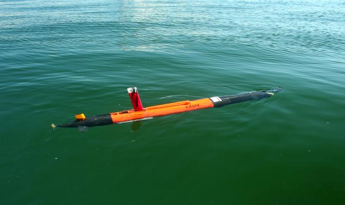 Light Autonomous Underwater Vehicle